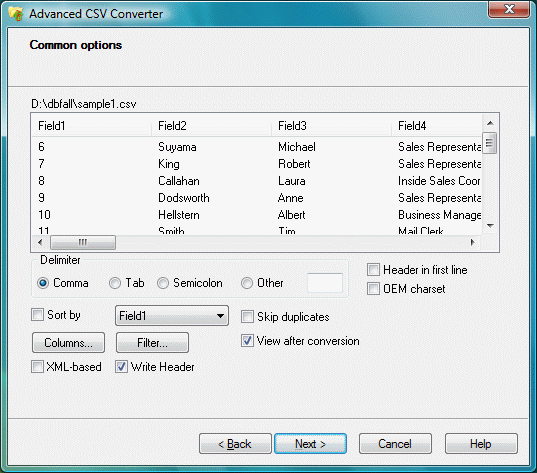 Screenshot of Advanced CSV Converter