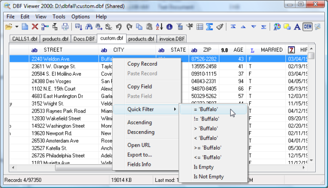 DBF Viewer 2000 Screenshot