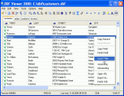Main window of DBF Viewer 2000