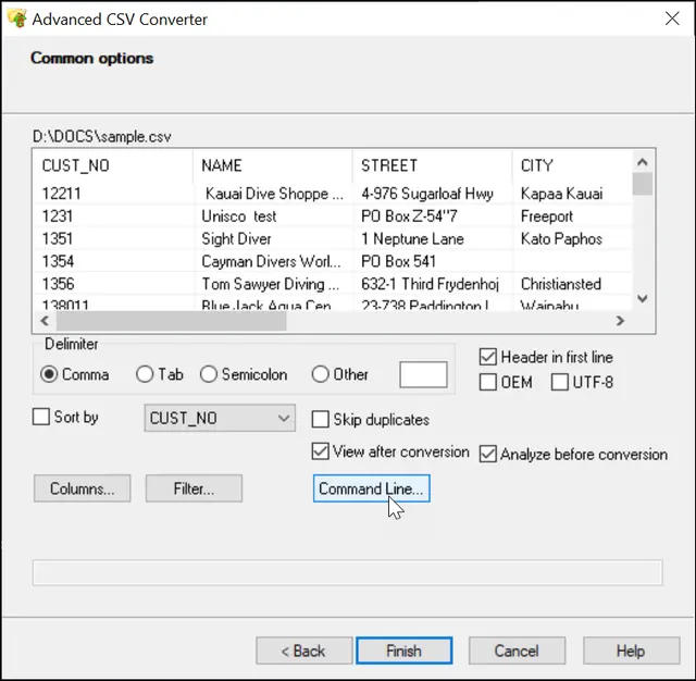 common options for csv to dbf conversion