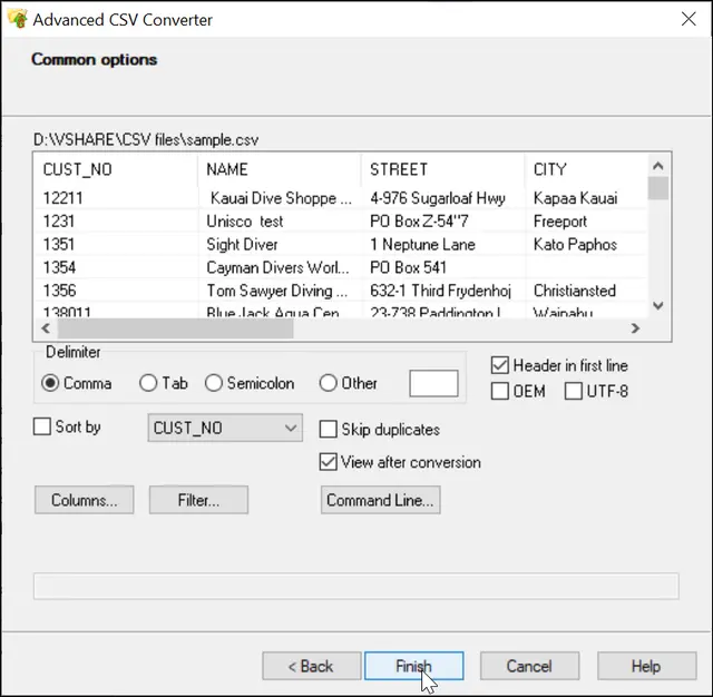 common options for csv to json conversion