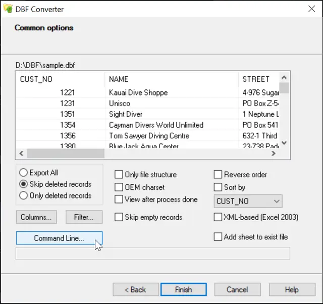 common options for dbf to xls conversion